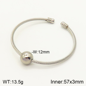 2BA201217aakl-387  Stainless Steel Bangle