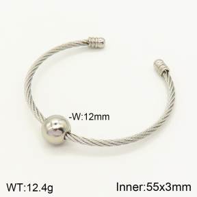 2BA201223aakl-387  Stainless Steel Bangle