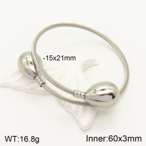 2BA201231vbnb-387  Stainless Steel Bangle