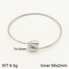 2BA201237abol-436  Stainless Steel Bangle