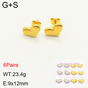 2E2004173vhnl-436  Stainless Steel Earrings