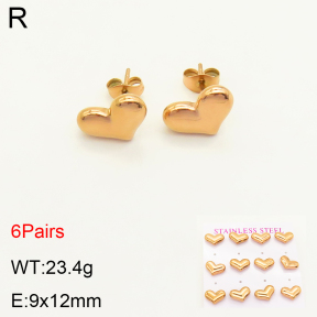 2E2004176vihb-436  Stainless Steel Earrings