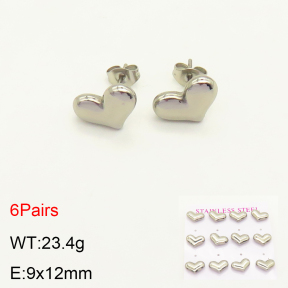 2E2004177vhmv-436  Stainless Steel Earrings