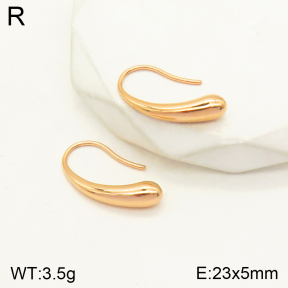 2E2004184vbnl-436  Stainless Steel Earrings