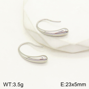 2E2004185vbnb-436  Stainless Steel Earrings