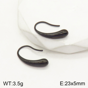 2E2004186vbnl-436  Stainless Steel Earrings