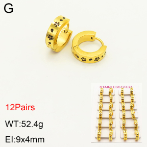 2E3002278alka-387  Stainless Steel Earrings