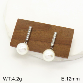 2E3002279bbov-436  Stainless Steel Earrings