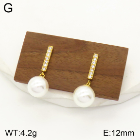 2E3002280vbpb-436  Stainless Steel Earrings