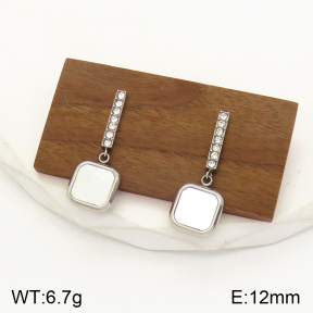 2E3002281bbov-436  Stainless Steel Earrings