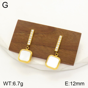 2E3002282vbpb-436  Stainless Steel Earrings