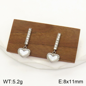 2E3002283bbov-436  Stainless Steel Earrings