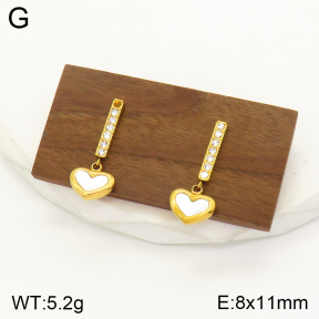 2E3002284vbpb-436  Stainless Steel Earrings