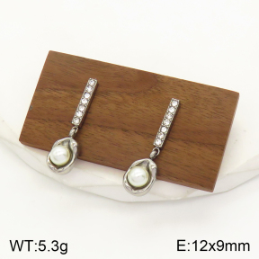 2E3002285bbov-436  Stainless Steel Earrings