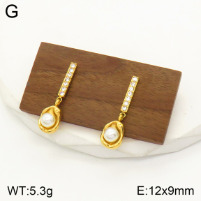 2E3002286vbpb-436  Stainless Steel Earrings