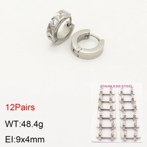 2E4003448alka-387  Stainless Steel Earrings