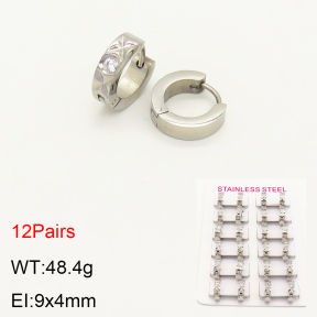 2E4003449akoa-387  Stainless Steel Earrings