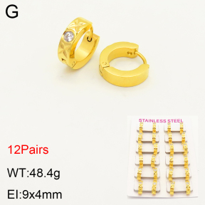 2E4003450amaa-387  Stainless Steel Earrings