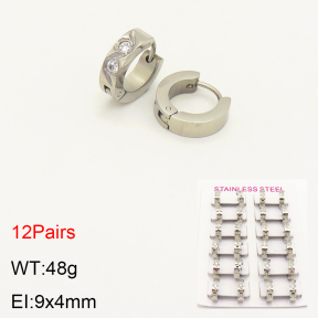 2E4003451alka-387  Stainless Steel Earrings