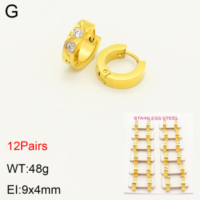 2E4003452bmmb-387  Stainless Steel Earrings