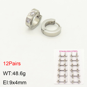 2E4003453alka-387  Stainless Steel Earrings