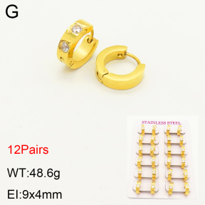 2E4003454bmmb-387  Stainless Steel Earrings