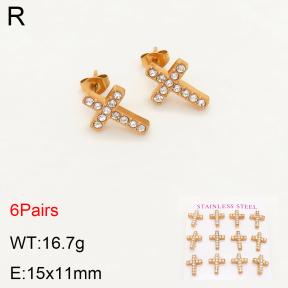 2E4003459bipa-436  Stainless Steel Earrings