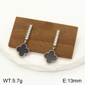 2E4003460bbov-436  Stainless Steel Earrings