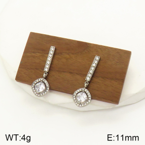 2E4003464bbov-436  Stainless Steel Earrings