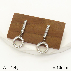 2E4003466bbov-436  Stainless Steel Earrings