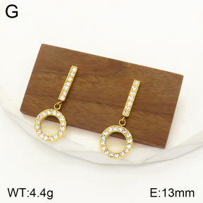 2E4003467vbpb-436  Stainless Steel Earrings