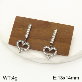 2E4003468bbov-436  Stainless Steel Earrings