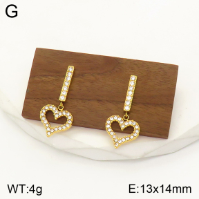 2E4003469vbpb-436  Stainless Steel Earrings