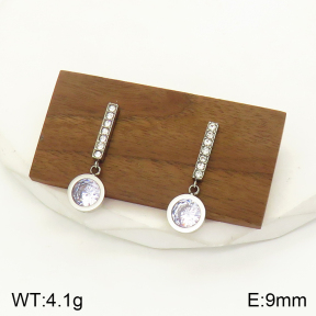 2E4003470bbov-436  Stainless Steel Earrings