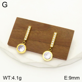 2E4003471vbpb-436  Stainless Steel Earrings