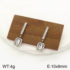 2E4003472bbov-436  Stainless Steel Earrings