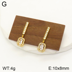 2E4003473vbpb-436  Stainless Steel Earrings