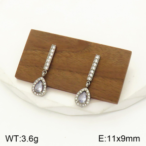 2E4003474bbov-436  Stainless Steel Earrings