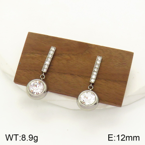 2E4003476bbov-436  Stainless Steel Earrings