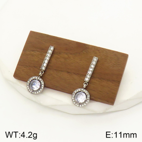 2E4003478bbov-436  Stainless Steel Earrings