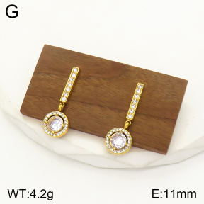 2E4003479vbpb-436  Stainless Steel Earrings