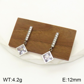 2E4003480bbov-436  Stainless Steel Earrings