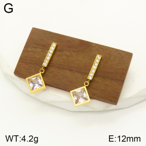 2E4003481vbpb-436  Stainless Steel Earrings