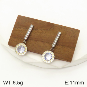 2E4003482bbov-436  Stainless Steel Earrings