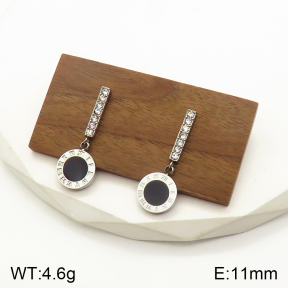 2E4003484bbov-436  Stainless Steel Earrings