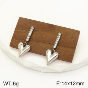 2E4003486bbov-436  Stainless Steel Earrings