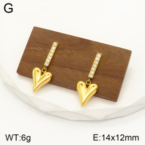 2E4003487vbpb-436  Stainless Steel Earrings