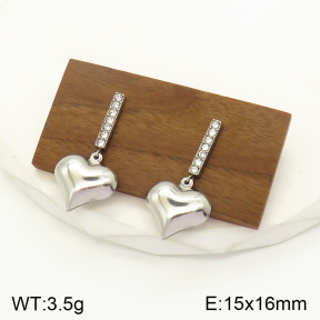 2E4003488bbov-436  Stainless Steel Earrings