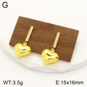 2E4003489vbpb-436  Stainless Steel Earrings