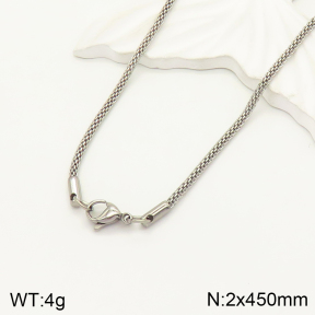 2N2004174avja-354  Stainless Steel Necklace